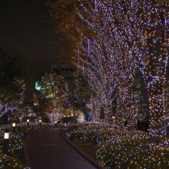 みち