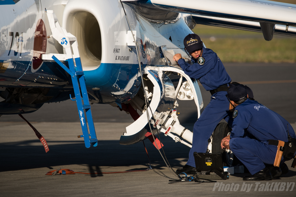 Dolphin Keepers ⑥