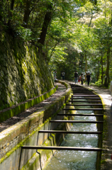 琵琶湖疏水