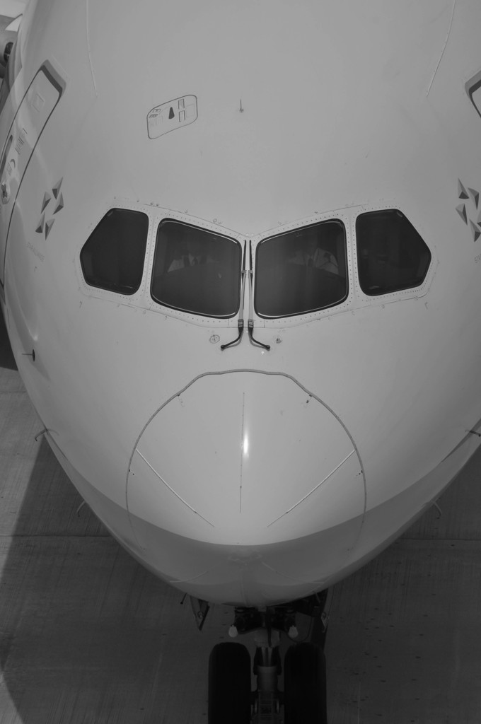 Face