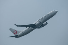 737