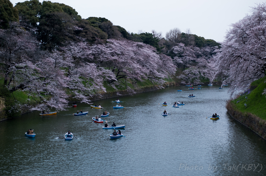 50mm　F1.8D