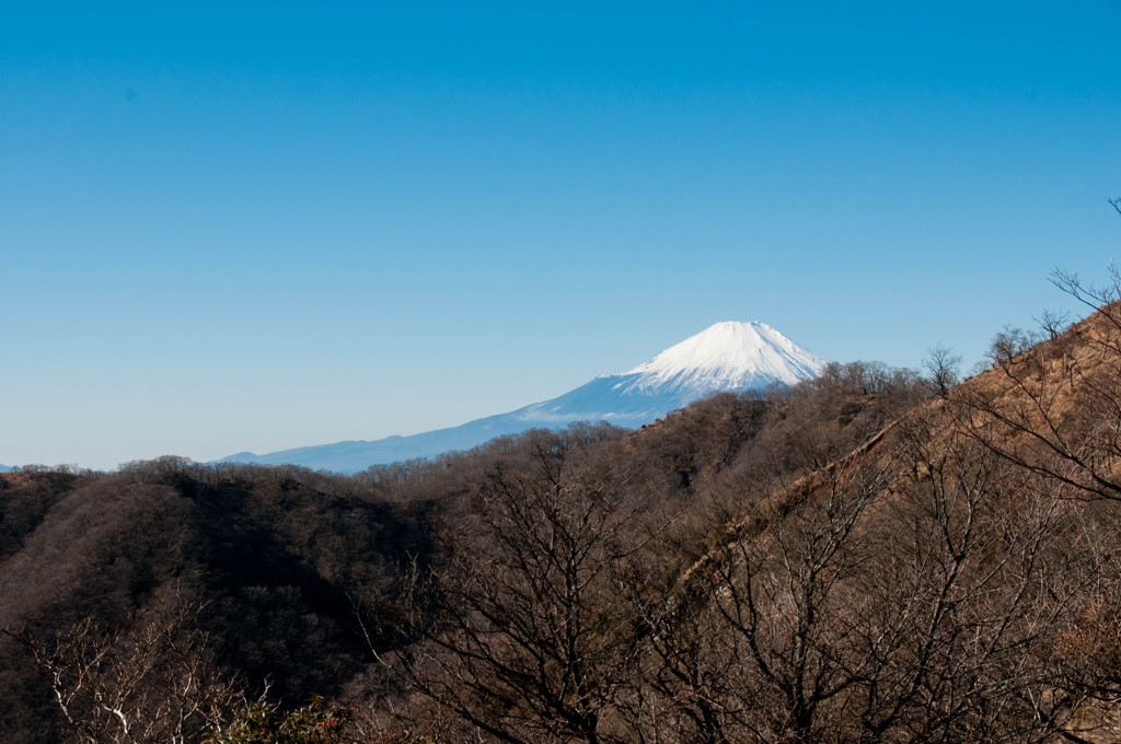 表尾根より