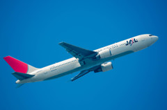 JAL 767