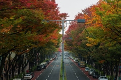 TOKYO-OMOTESANDO