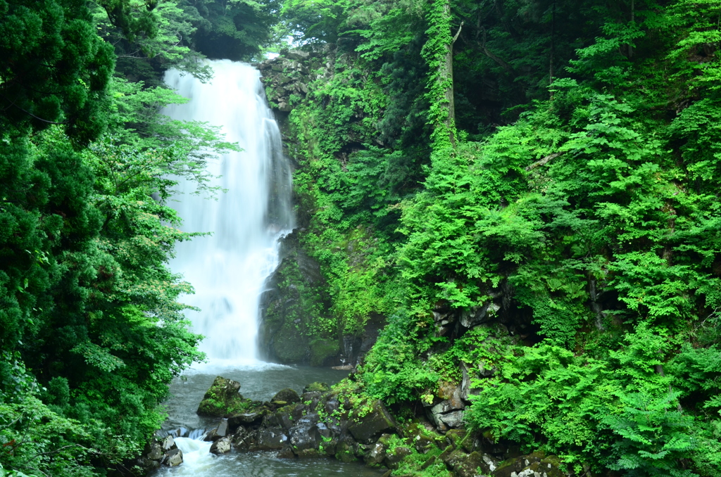 奈曽の白滝