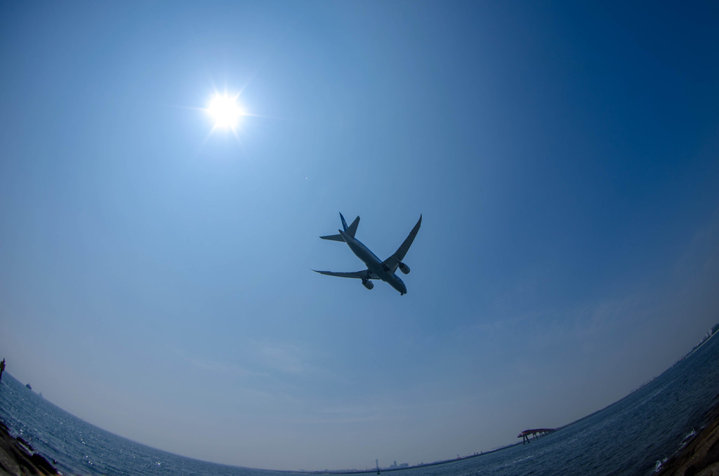 Good morning 787