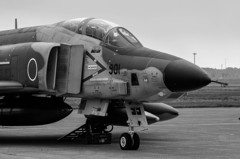 501T.R.SQ RF-4EJ
