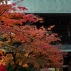 円覚寺～其の二