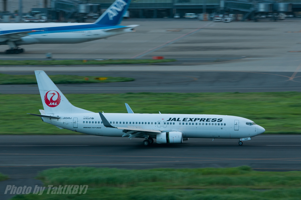 JAL B737-800