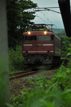 EF81