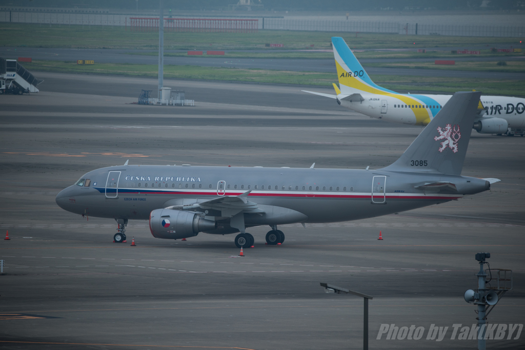 チェコ空軍　A319