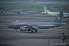 チェコ空軍　A319
