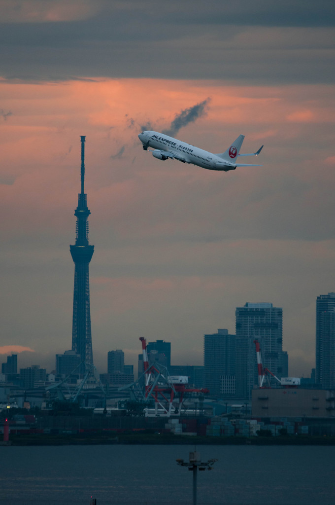 SKYTREE × JAL737