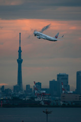 SKYTREE × JAL737