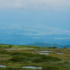 弥陀ヶ原湿原