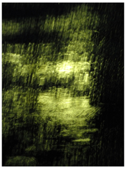 Rain Shower