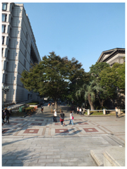 holiday in osaka
