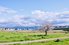 春日和