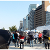 holiday in osaka