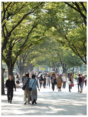 holiday in osaka