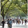 holiday in osaka