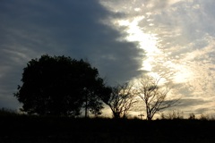 夕暮れ
