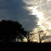 夕暮れ