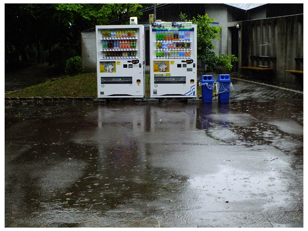 梅雨時-立ちすくす