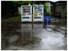 梅雨時-立ちすくす