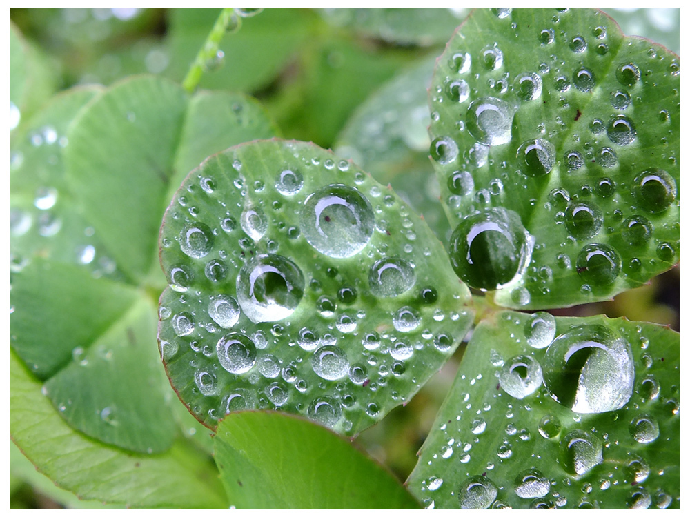 雨上がり