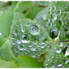 雨上がり