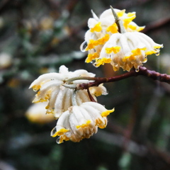 R0010173