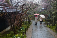 雨の参道