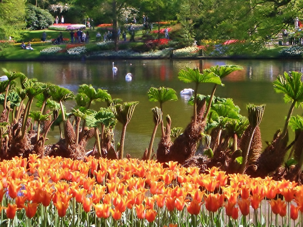 キューケンホフ公園の花