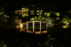 栗林公園のライトアップ(太鼓橋）