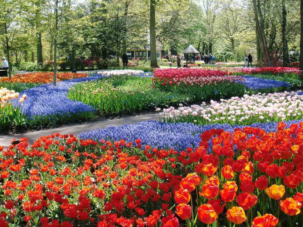 キューケンホフ公園（２）