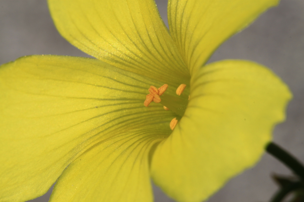 こんなに可愛かった？