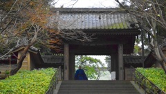 寺