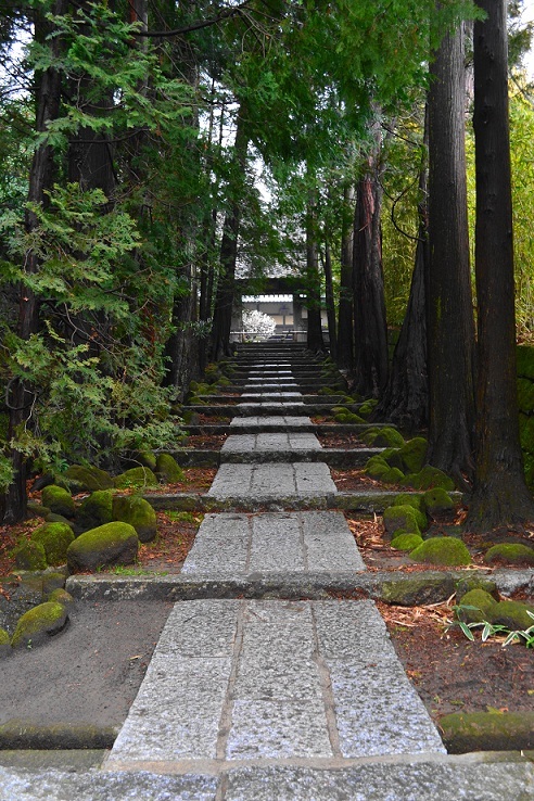 どこまで続くの？