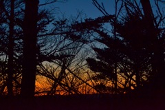 夕日
