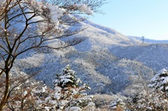 山