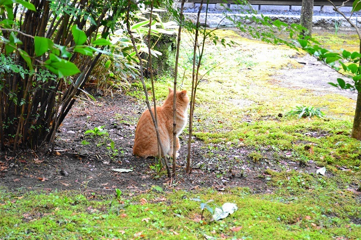 どこ向いてるの？