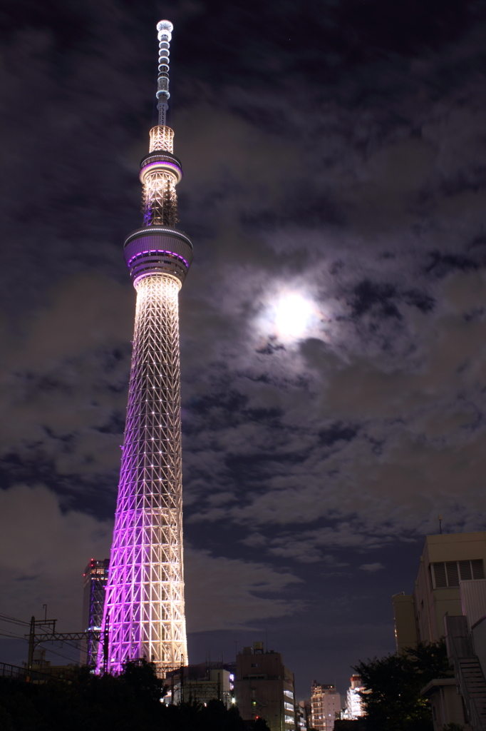 朧月夜
