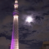 朧月夜
