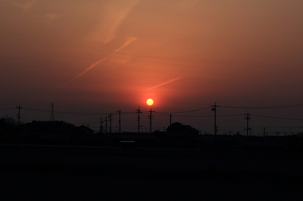 今日もおしまい