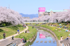 春真っ盛り♪