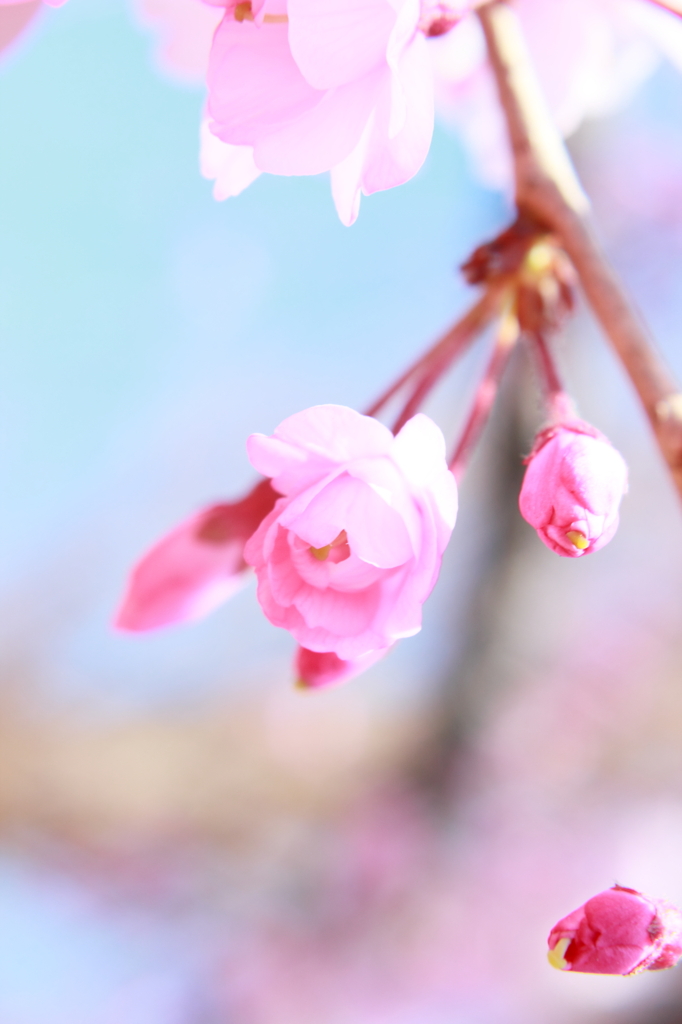 これから。。。