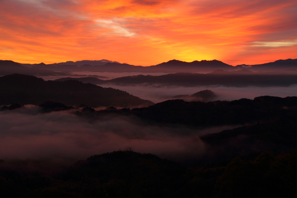 燃える雲海