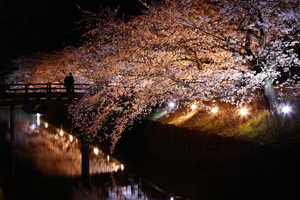 二人の桜色